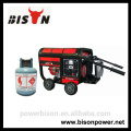 BISON (CHINA) BS Home mit kleinem LPG Generator / NG Generator / Benzingenerator